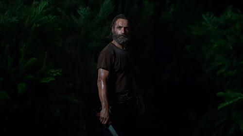 Épisode 11