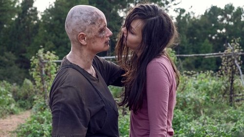 Épisode 11