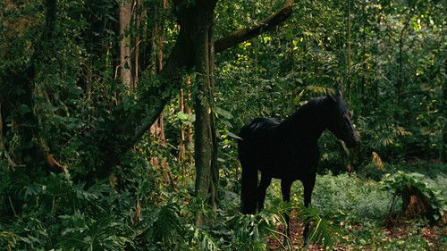 Épisode 9
